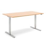 Flexus Desk - Beech Desk Top