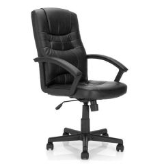Darwin Leather Executive Chair in Black