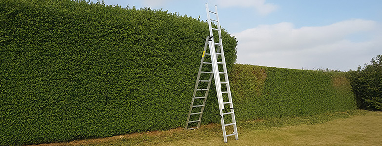 Extension Combination Ladder